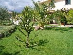 piante02.jpg